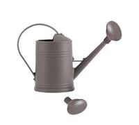 YIXANNX Arrosoir en métal avec poignée Ergonomique, idéal pour Les Plantes d'intérieur. Outil de Jardinage léger et décoratif pour la Maison de Campagne, Gris
