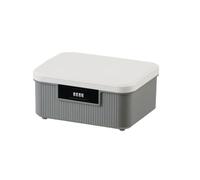 YIXANNX Coffre de Rangement verrouillable à intimité renforcée,Gris | rangement étanche pour objets sensibles en toute sécurité.