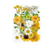 YIXANNX Fleurs séchées ensemble outils Collection Art artisanat vraie fleur décalcomanie coloré pressé spécimen étiquette bijoux Art signets, Type 1