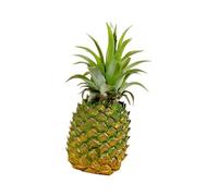 YIXANNX Petite Figurine d'ananas Artificielle pour décoration intérieure et Festive, idéale pour Apporter pour Joie et Couleur à Toutes Les Occasions, 9 x 21 cm