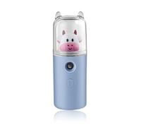 YIXANNX Pulvérisateur de brume Rechargeable 30 ml humidificateur brumisateur mise hors tension automatique visage vapeur randonnée outil de soins la peau fournitures beauté, Tapez 1 Bleu