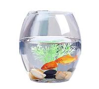 yixinzi-2024 Réservoir de Poissons Réservoir de Poissons Transparent épais, Petit réservoir de Tortue en Verre, réservoir Ovale, for la Maison et Le Bureau, Polyvalent Aquarium(XS)