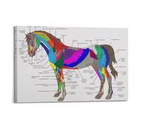 YiXong Poster vintage sur toile représentant l'anatomie des muscles du cheval - Affiche décorative et artistique moderne pour chambre à coucher (30 x 45 cm)