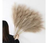 YiYa 12Pcs Pampa Artificielle Brun 113cm Pampa Fleur Sechees Pampas Sechees Decoration Plume Artificielle pour Boho Mariage, Salon, Chambre À Coucher（Brun）