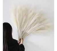 YiYa 12Pcs Pampa Artificielle Couleur Beige 113cm Pampa Fleur Sechees Pampas Sechees Decoration Plume Artificielle pour Boho Mariage, Salon, Chambre À Coucher