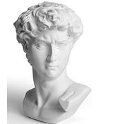 YiYFiT Figurine de Buste en résine, 6" 15cm Mythologie Grecque David Sculpture de Buste Figurine pour Ornement de Maison, Bureau, bibliothèque, Pratique de l'esquisse Cadeau d'art DIY-David