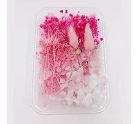 YiYFiT Fleurs séchées Naturelles, 8 Sortes de Vraies Fleurs séchées, matériel de Bricolage, décorations Florales séchées pour l'artisanat en résine, Fabrication de Bougies, Cartes (Rose avec boîte)