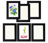 YIYINOE Cadre Photo 13 x 18 cm,Lot de 6 Cadre Photos pour Collage Photo Décoration Mural,Cadres en Carton,Livré Avec un Film Plastique Transparent,Noir,Installation Autocollante,Aans Clous Nécessaires