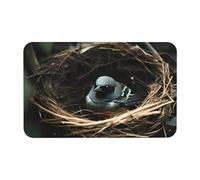 Yizhiyz Little Bird Nest Tapis de terre de diatomées 50 x 80 cm, absorbant, séchage rapide, résistant à l'usure, convient pour salle de bain et cuisine.