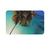 Yizhiyz Tapis de plage en terre de diatomée en coco et soleil 50 x 80 cm, absorbant, séchage rapide, résistant à l'usure, convient pour salle de bain et cuisine.
