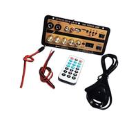 YIZITU Board D'amplificateur De Musique Stéréos sans Fil DC12V 24V Power D'entrée pour Le Karaoké Théâtre Et Les Systèmes Sonores pour Les Véhicules Alimentations Électriques Amplificateur Stéréos