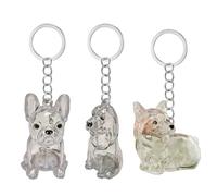 YIZITU Boîte de rangement pour animaux de compagnie - Boîte de rangement miniature transparente pour poils d'animaux de compagnie - Design sentimental - Cadeau de voyage pour animaux domestiques