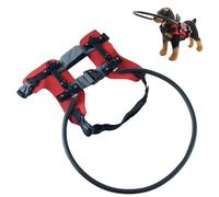 YIZITU Collier De Sécurité De Protection pour Animaux De Compagnie Malvoyants Harnais De Barrière Réglable Et Résistant Chocs pour Chien Aveugle Équipement D'indépendance pour Chien Aveugle en Plein