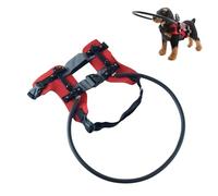 YIZITU Collier De Sécurité De Protection pour Animaux De Compagnie Malvoyants Harnais De Barrière Réglable Et Résistant Chocs pour Chien Aveugle Équipement D'indépendance pour Chien Aveugle en Plein