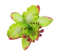 YIZITU Orchidées Faites À La Main
