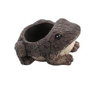 YIZITU Petits pots de plantes grasses d'intérieur et d'extérieur pour décoration de maison et de bureau