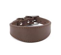 Yjcnelcr Collier large rembourré en cuir véritable pour lévriers italiens