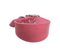 Yjcnelcr Collier large rembourré en cuir véritable pour lévriers italiens