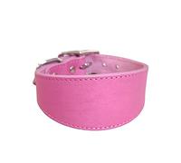 Yjcnelcr Collier large rembourré en cuir véritable pour lévriers italiens