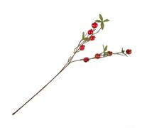 YJDOORPLAY Branche de grenade artificielle à 9 têtes - Arrangement de fruits rouges réalistes - 64 cm de hauteur - Pour décoration de maison et de jardin - Tiges flexibles en fil d'acier (rouge)