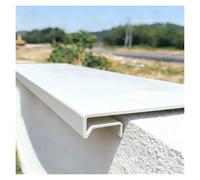 YJEUZCD Mur Seuil Nez Goutte À Couper, Rail pour Eau De Pluie Reflux Prévention, Bord du Gouffre Clignotant, Aluminium Extérieur Garde(15x160cm/5.9x63.0in)