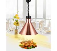 YJINGRUI Lampe chauffante suspendue pour buffet 250 W avec bras télescopique réglable (60-180 cm) pour chauffage des aliments, convient pour les cuisines et les restaurants (couleur bronze)