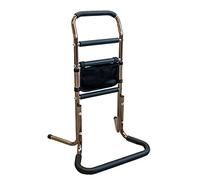 YJKKZQLB Support de chaise pour personnes âgées facile à se relever, appareils de levage de chaise, rails de lit pour personnes âgées, aide à la mobilité et aide à la vie quotidienne pour s'asseoir