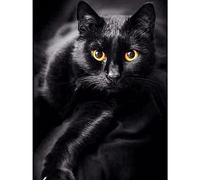 YJPZZG Puzzle 1000 PièCes Puzzle en Bois Chat Noir Action de Grâce Fête des Mères Fête des Pères Noël Pâques Saint Valentin Meilleur Cadeau Taille Finie 75.5×50.5cm