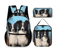 YJWANDO Ensemble sac à dos 3 en 1 avec sac à déjeuner et petit sac à dos imprimé border collie