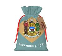 YKJJFVZ Pochettes à bijoux avec cordon de serrage Motif drapeau du Delaware Taille M