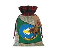 YKJJFVZ Sacs cadeaux avec cordon de serrage imprimé drapeau du Montana abstrait Map03, sacs cadeaux de Noël, pochettes pour cadeaux de Noël, cadeaux de fête