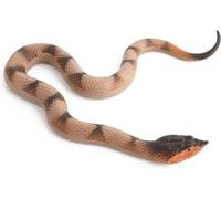 YKKJ Serpent élastiques en Caoutchouc，Serpents en Plastique Modèle，pour Accessoires de Jardin,Farces,Décoration d'halloween.
