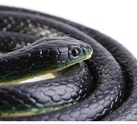 YKKJ Serpents artificiels，Ｍodèle de Serpent Simulé, Farce Animale, pour Halloween, Jour du Poisson d'avril, Accessoires effrayants, Enfants, Jardin, fête, Astuce effrayante.(120CM)