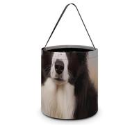 YKLBV [Dimensions : 20 x 21 x 18 cms] Sac fourre-tout d'Halloween imprimé Border Collie - Réutilisable pour les fêtes et les cadeaux