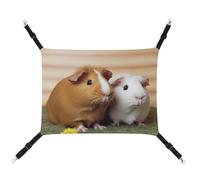 YKLBV Hamac respirant mignon imprimé cochon d'Inde - Solution peu encombrante pour chats, chiens et petits animaux de compagnie - Confort partout