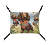 YKLBV Hamac respirant pour animaux de compagnie Motif teckel tropical - Solution peu encombrante pour chats, chiens et petits animaux de compagnie - Confort n'importe où