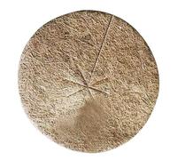 YKMYXZ， Anneau de Protection for Plantes, 10 pièces, for Disque de Plantation d'arbres(40cm)