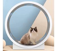 YKMYXZ, Dispositif de perte de poids de chat Roue de course de chat grande roue pour tous les chats se tordant, grattant, grimpant