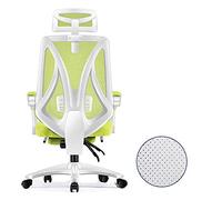 YKMYXZ, Fauteuil pivotant Zero Gamiraci avec Dossier Haut for Jeux vidéo, Chaise de Bureau for PC, Support Lombaire réglable, Cadre Blanc, Filet Bleu(White Frame Green Net)