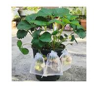 YKMYXZ, Lot de 100 Sacs de Protection for Fraises, Raisins, Fruits, for Jardin, Filet à Cordon, Sacs en Maille for légumes agricoles(20x30cm(100Pcs))