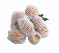 YKMYXZ, Lot de 50 Pochettes en Filet de Mousse for Protection Antichoc, Emballage de Transport for légumes et Fruits, Sac en Maille épaisse(22X10CM)