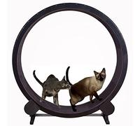 YKMYXZ, Roue d'exercice for Chat, Machine de Course silencieuse for Animaux de Compagnie, Jouet de Sport for Perte de Poids, for Chats de Petite et Moyenne Taille