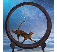 YKMYXZ, Roue d'exercice for Chat, Machine de Course silencieuse for Animaux de Compagnie, Meubles for Animaux de Compagnie, Rotation des Roues, Jouets de Fitness for Perdre du Poids
