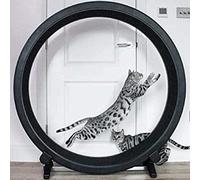 YKMYXZ, Roue d'exercice for Chat, Tapis de Course Silencieux for Animaux de Compagnie - Appareil de Fitness for Chats