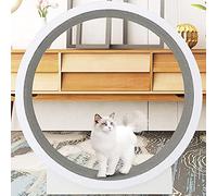 YKMYXZ, Roue d'exercice pour chat d'intérieur, cadre d'escalade pour chat, jouets pour chat, cadre d'escalade pour chat, roue de course silencieuse