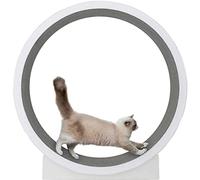 YKMYXZ, Tapis de Course for Chat, Jouet Silencieux et Silencieux, Meuble Simple et Durable for Chats, Tapis de Course intégré for Le Fitness et Le Divertissement