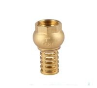 YKYNCJJT Vanne de Fond à Filetage Femelle 1/2" 3/4" 1" DN15 DN20 DN25 DN32 DN40 DN50 DN65 Clapet de Pied de Pompe à Eau en Laiton(DN50)
