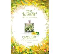 Ylang des Comores L'