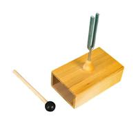 YLGTYUIK Diapason expérimental avec boîte de résonance, kit d'accordage pour Diapason 256 Hz (Diapason 512 Hz)