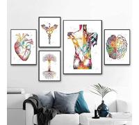 YLHKME Tableau Cerveau Organe Anatomie Humaine,Médecine Aquarelle Affiche Toile Tableau Decoration Murale Salon,pour Chambre Cuisine Bureau, Deco Maison, sans Cadre